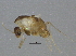  ( - BIOUG03388-A11)  @12 [ ] CreativeCommons - Attribution (2012) CBG Photography Group Centre for Biodiversity Genomics