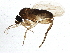  ( - BIOUG03384-B12)  @13 [ ] CreativeCommons - Attribution (2013) CBG Photography Group Centre for Biodiversity Genomics
