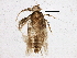  ( - BIOUG03102-C12)  @12 [ ] CreativeCommons - Attribution (2013) CBG Photography Group Centre for Biodiversity Genomics