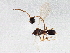  ( - BIOUG03539-C01)  @12 [ ] CreativeCommons - Attribution (2013) CBG Photography Group Centre for Biodiversity Genomics