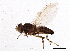  ( - BIOUG03571-D02)  @13 [ ] CreativeCommons - Attribution (2013) CBG Photography Group Centre for Biodiversity Genomics
