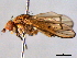  ( - BIOUG03743-B04)  @13 [ ] CreativeCommons - Attribution (2013) CBG Photography Group Centre for Biodiversity Genomics
