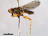  ( - BIOUG03743-E04)  @13 [ ] CreativeCommons - Attribution (2013) CBG Photography Group Centre for Biodiversity Genomics