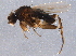  ( - BIOUG03658-F11)  @13 [ ] CreativeCommons - Attribution (2014) CBG Photography Group Centre for Biodiversity Genomics