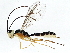  ( - BIOUG03551-E09)  @14 [ ] CreativeCommons - Attribution (2014) CBG Photography Group Centre for Biodiversity Genomics