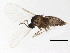  ( - BIOUG04079-E09)  @13 [ ] CreativeCommons - Attribution (2014) CBG Photography Group Centre for Biodiversity Genomics