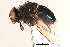 ( - BIOUG04236-G07)  @13 [ ] CreativeCommons - Attribution (2015) CBG Photography Group Centre for Biodiversity Genomics
