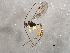  ( - BIOUG04283-H08)  @13 [ ] CreativeCommons - Attribution (2014) CBG Photography Group Centre for Biodiversity Genomics
