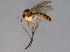  ( - BIOUG04358-C08)  @13 [ ] CreativeCommons - Attribution (2014) CBG Photography Group Centre for Biodiversity Genomics