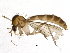  ( - BIOUG04527-G10)  @14 [ ] CreativeCommons - Attribution (2014) CBG Photography Group Centre for Biodiversity Genomics