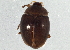  ( - BIOUG04554-E08)  @13 [ ] CreativeCommons - Attribution (2014) CBG Photography Group Centre for Biodiversity Genomics