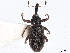  ( - BIOUG04554-E10)  @11 [ ] CreativeCommons - Attribution (2020) CBG Photography Group Centre for Biodiversity Genomics