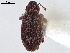  ( - BIOUG04554-F04)  @11 [ ] CreativeCommons - Attribution (2020) CBG Photography Group Centre for Biodiversity Genomics