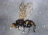  ( - BIOUG10224-B10)  @13 [ ] CreativeCommons - Attribution (2014) CBG Photography Group Centre for Biodiversity Genomics