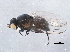  ( - BIOUG10279-C01)  @13 [ ] CreativeCommons - Attribution (2014) CBG Photography Group Centre for Biodiversity Genomics