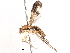 ( - BIOUG10544-B08)  @11 [ ] CreativeCommons - Attribution (2018) CBG Photography Group Centre for Biodiversity Genomics