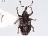  ( - BIOUG11159-H04)  @11 [ ] CreativeCommons - Attribution (2020) CBG Photography Group Centre for Biodiversity Genomics