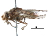  ( - BIOUG11381-G04)  @11 [ ] CreativeCommons - Attribution (2016) CBG Photography Group Centre for Biodiversity Genomics