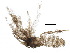  ( - BIOUG19153-C01)  @12 [ ] CreativeCommons - Attribution (2015) CBG Photography Group Centre for Biodiversity Genomics