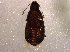  ( - BIOUG10060-D06)  @12 [ ] CreativeCommons - Attribution (2014) CBG Photography Group Centre for Biodiversity Genomics