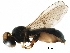  ( - BIOUG10648-A09)  @11 [ ] CreativeCommons - Attribution (2016) CBG Photography Group Centre for Biodiversity Genomics