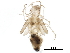  ( - BIOUG20152-B01)  @14 [ ] CreativeCommons - Attribution (2016) CBG Photography Group Centre for Biodiversity Genomics