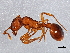  ( - BIOUG03095-B11)  @14 [ ] CreativeCommons - Attribution (2013) CBG Photography Group Centre for Biodiversity Genomics