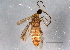  ( - BIOUG03100-D07)  @13 [ ] CreativeCommons - Attribution (2014) CBG Photography Group Centre for Biodiversity Genomics