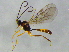  ( - BIOUG03151-A02)  @13 [ ] CreativeCommons - Attribution (2012) CBG Photography Group Centre for Biodiversity Genomics