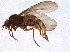  ( - BIOUG04638-A09)  @13 [ ] CreativeCommons - Attribution (2014) CBG Photography Group Centre for Biodiversity Genomics