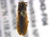  ( - BIOUG04043-F04)  @13 [ ] CreativeCommons - Attribution (2013) CBG Photography Group Centre for Biodiversity Genomics
