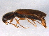  ( - BIOUG05822-B05)  @12 [ ] CreativeCommons - Attribution (2014) CBG Photography Group Centre for Biodiversity Genomics