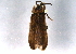  ( - BIOUG05822-E01)  @13 [ ] CreativeCommons - Attribution (2014) CBG Photography Group Centre for Biodiversity Genomics