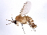  ( - BIOUG05986-F09)  @15 [ ] CreativeCommons - Attribution (2014) CBG Photography Group Centre for Biodiversity Genomics