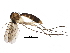  ( - BIOUG09392-D12)  @15 [ ] CreativeCommons - Attribution (2015) CBG Photography Group Centre for Biodiversity Genomics