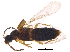  ( - BIOUG10346-C10)  @13 [ ] CreativeCommons - Attribution (2015) CBG Photography Group Centre for Biodiversity Genomics