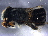  ( - BIOUG06460-E10)  @12 [ ] CreativeCommons - Attribution (2014) CBG Photography Group Centre for Biodiversity Genomics