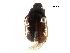  (Serica intermixta - BIOUG20719-E11)  @15 [ ] CreativeCommons - Attribution (2016) CBG Photography Group Centre for Biodiversity Genomics
