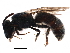  ( - BIOUG21118-D05)  @14 [ ] CreativeCommons - Attribution (2018) CBG Photography Group Centre for Biodiversity Genomics