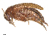  ( - BIOUG21694-G05)  @11 [ ] CreativeCommons - Attribution Share - Alike (2025) CBG Photography Group Centre for Biodiversity Genomics