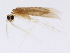  ( - 09NJAU-150)  @11 [ ] CreativeCommons - Attribution (2009) Unspecified Centre for Biodiversity Genomics