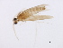  ( - 09NJAU-151)  @11 [ ] CreativeCommons - Attribution (2009) Unspecified Centre for Biodiversity Genomics