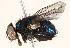 ( - BIOUG16845-C06)  @12 [ ] CreativeCommons - Attribution (2015) CBG Photography Group Centre for Biodiversity Genomics