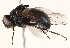  ( - BIOUG16845-D07)  @13 [ ] CreativeCommons - Attribution (2015) CBG Photography Group Centre for Biodiversity Genomics