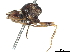  ( - BIOUG16926-F02)  @11 [ ] CreativeCommons - Attribution (2020) CBG Photography Group Centre for Biodiversity Genomics