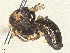  ( - BIOUG17183-C04)  @11 [ ] CreativeCommons - Attribution Share - Alike (2025) CBG Photography Group Centre for Biodiversity Genomics