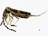 ( - BIOUG03454-B05)  @14 [ ] CreativeCommons - Attribution (2012) CBG Photography Group Centre for Biodiversity Genomics
