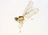  ( - BIOUG03455-C08)  @12 [ ] CreativeCommons - Attribution (2012) CBG Photography Group Centre for Biodiversity Genomics