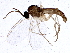  ( - BIOUG03492-F03)  @13 [ ] CreativeCommons - Attribution (2014) CBG Photography Group Centre for Biodiversity Genomics