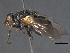  ( - BIOUG03531-C08)  @12 [ ] CreativeCommons - Attribution (2012) CBG Photography Group Centre for Biodiversity Genomics